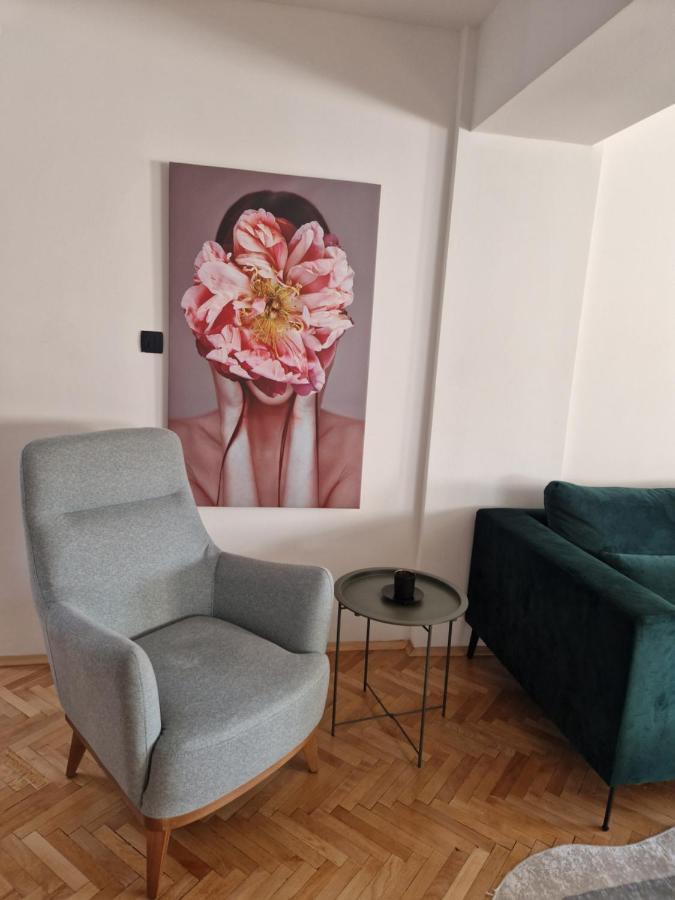 Comfy Center Apartment Skopje Buitenkant foto